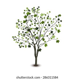 tree with green leaves