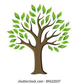 Tree with green leaves