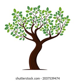 A tree with green leaves and brown branches isolated on white background, vector illustration