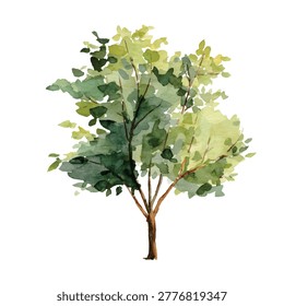 Tree with green leaves and brown branches