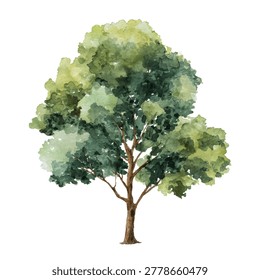 Tree with green leaves and brown trunk