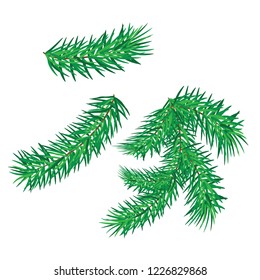 Tree green, Leaves and Christmas branches on a white background. Christmas vector illustration.