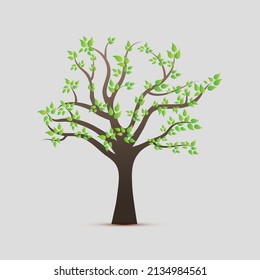 tree with green leaves collection vector