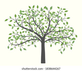 Tree with green leaves of different colors and sizes on a light background