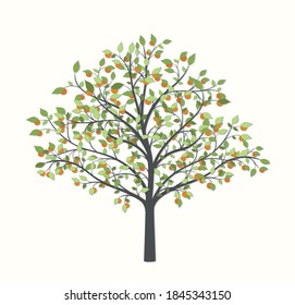 Tree with green leaves and fruit on a light background