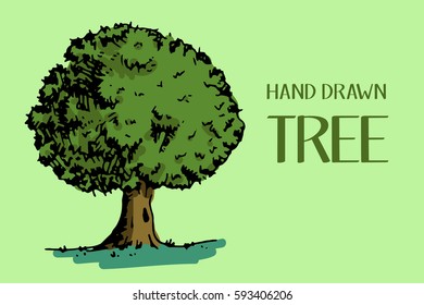 Tree with green leaves. Hand drawn vector stock illustration