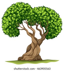 Tree with green leaves illustration
