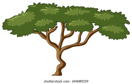 Tree with green leaves illustration