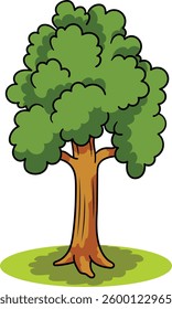 Tree with green leaves Illustration. Tree Vector Design. Green Tree Illustration