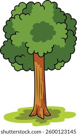 Tree with green leaves Illustration. Tree Vector Design. Green Tree Illustration