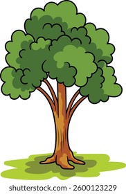Tree with green leaves Illustration. Tree Vector Design. Green Tree Illustration
