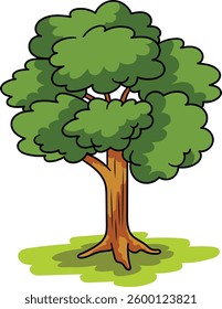 Tree with green leaves Illustration. Tree Vector Design. Green Tree Illustration