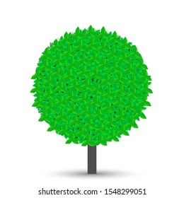 tree with green leaves isolated on white background with shadow