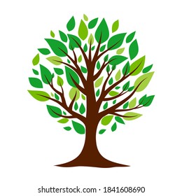 Tree with green leaves isolated on white background.