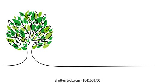 Tree with green leaves isolated on white background.