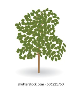 tree green leaves isolated on white background vector element for design illustration art creative