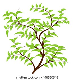 Tree with Green Leaves Leaf Branch Nature Vector Illustration Isolated White Background