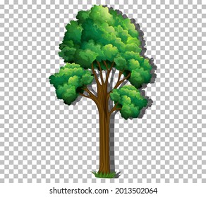 Un árbol con hojas verdes en una ilustración transparente de fondo