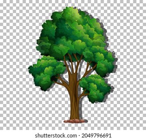 A tree with green leaves on transparent background illustration