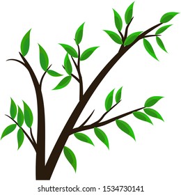 Tree with green leaves on a white background. Illustration vector