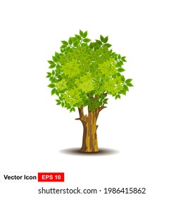 Árbol con hojas verdes sobre fondo blanco