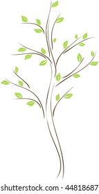 Tree with green leaves on white background