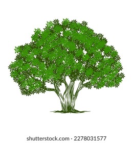 tree with green leaves. Simple logo, symbol, icon, illustration, vector