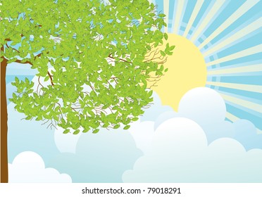 Tree  with green leaves in summer day.Vector illustration