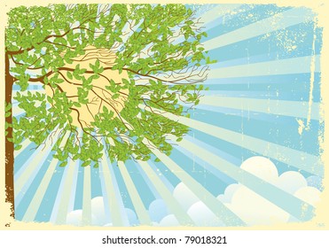 Tree  with green leaves in summer day.Vector vintage