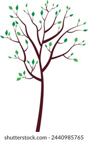 A tree with green leaves. Summer. Vector illustration. Transparent background