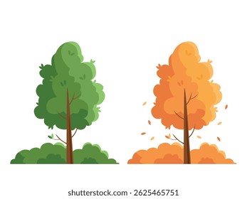 a tree with green leaves in summer and a tree with yellow leaves in autumn. Season concept.
