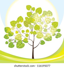 Tree with green leaves, sunny day, vector illustration