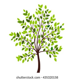 Tree with green leaves vector