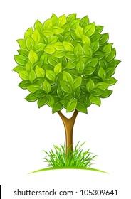 tree with green leaves vector illustration isolated on white background