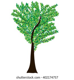 Tree with green leaves. Vector illustration.