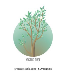 Tree with green leaves. Vector tree round icon. Tree forest, leaf tree isolated branch nature green, plant eco branch organic natural wood illustration. Vector illustration