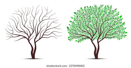 Tree with green leaves and without leaves. Detailed leaves vector.