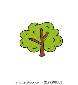 un árbol verde con verde natural