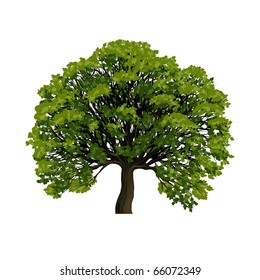 Tree. Green nature vector.