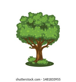 Tree Green Oak Apple Garden Forest Jungle Nature