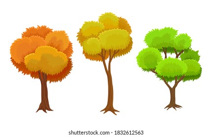 Tree with Green and Orange Crown as Perennial Plant with Trunk, Branches and Leaves Vector Illustration Set