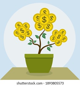 A tree in green plant pot that grows flowering in golden coins like the profit of an investment or interest of deposit, money plant growth on table with light blue background.