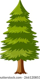 tree green spruce no background vector image
