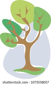 the tree is green in the summer