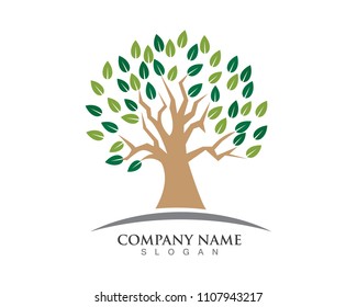  Tree green vector logo template
