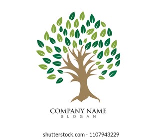 Tree green vector logo template
