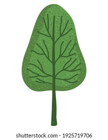 tree greenery nature plant vector illustration isolated style
