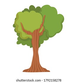 tree greenery plant forest foliage isolated icon design white background vector illustration