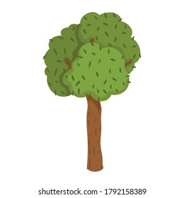 tree greenery plant forest foliage isolated icon design white background vector illustration