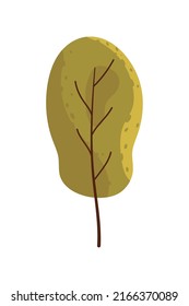 icono aislado de planta de vegetación arbórea